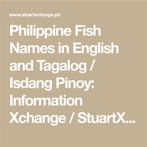 bayang fish|Philippine Fish Names in English and Tagalog / Isdang Pinoy .